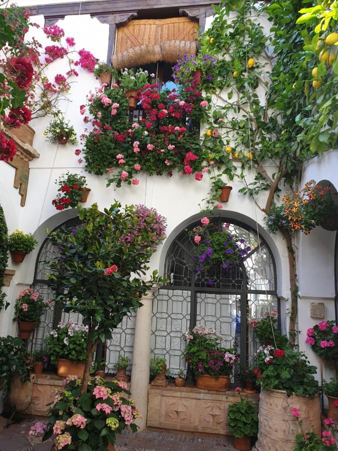 Apto. Planta Baja Y Cochera Barrio San Basilio 科爾多瓦 外观 照片