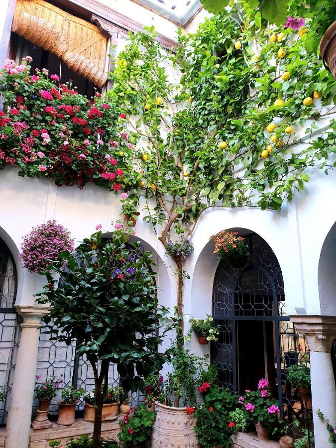 Apto. Planta Baja Y Cochera Barrio San Basilio 科爾多瓦 外观 照片
